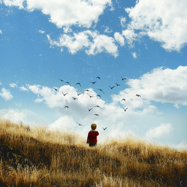 Wait by Ben Pellow
