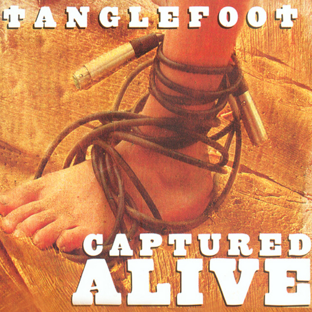 Tanglefoot Photo