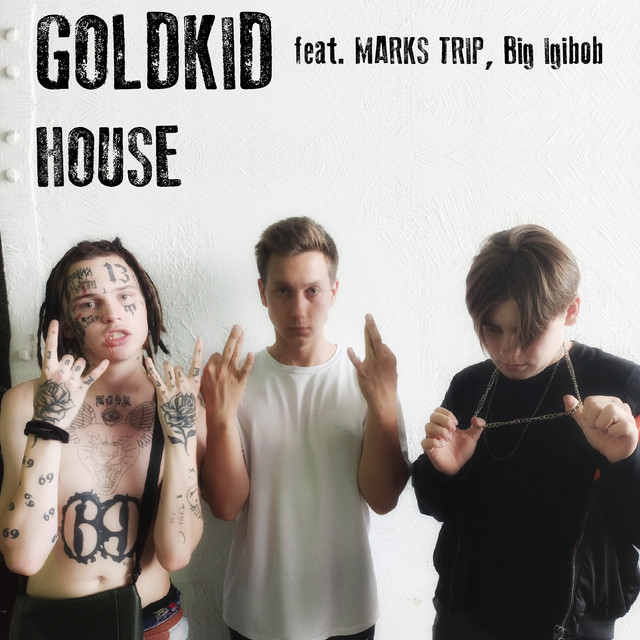 House cover