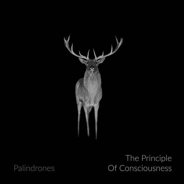 The Principle of Consciousness cover art