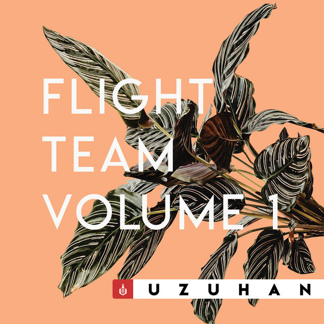 Flight Team Volume 1 cover art