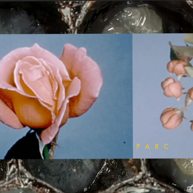 Parc cover art