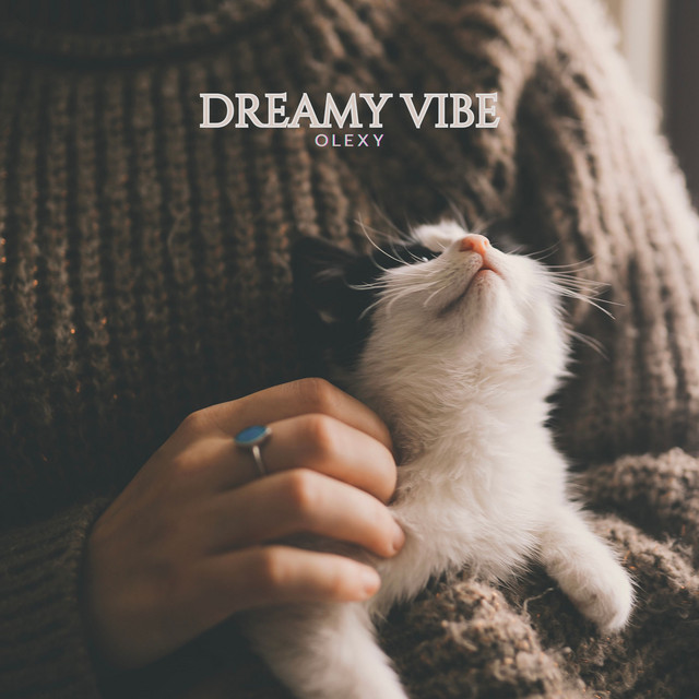 Обкладинка: Dreamy Vibe — Olexy