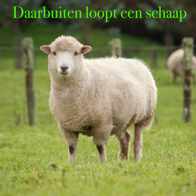 Daar Buiten Loopt Een Schaap cover art