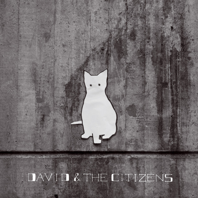 Omslag för Are You In My Blood? av David & The Citizens