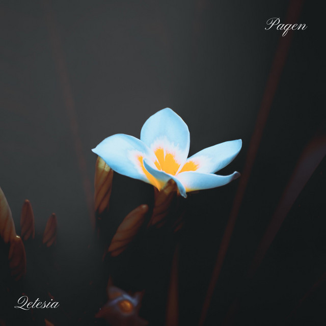 Paqen by Qetesia