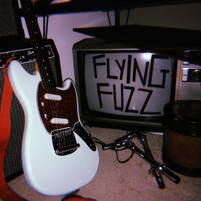 Flying Fuzz cover art