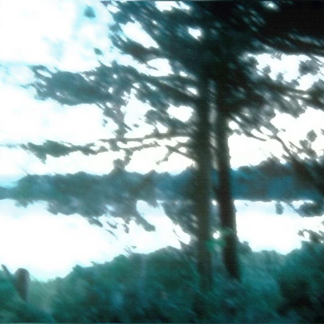 Desolate. cover art