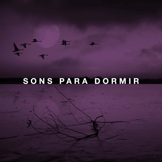 Técnica de Relaxamento cover art