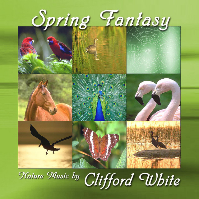 Spring Fantasy cover