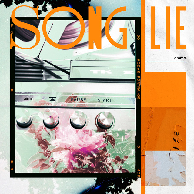 SONG LIE cover art