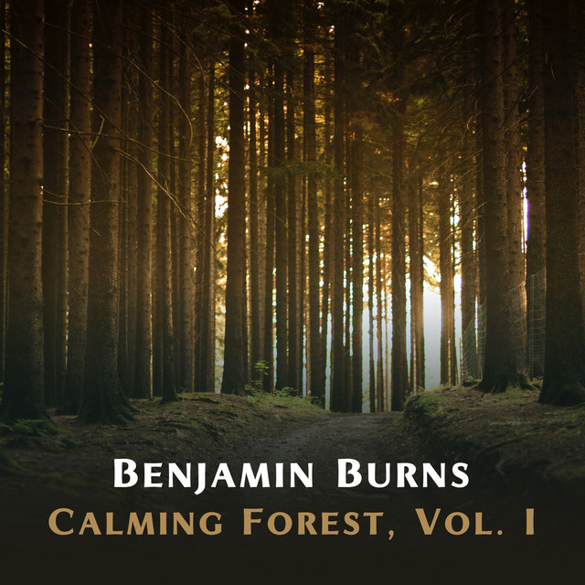 Calming Forest, Vol. I cover art