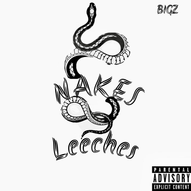 Snakes & Leeches - Single by BIGZ | Spotify