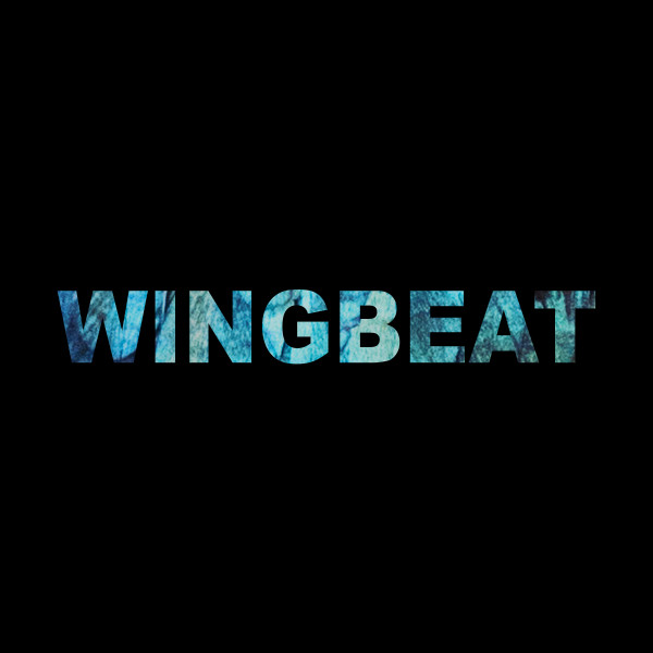 Wingbeat Photo