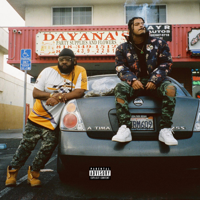 Camouflage cover art