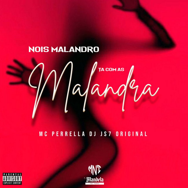 Nois Malandro Ta Com as Malandra