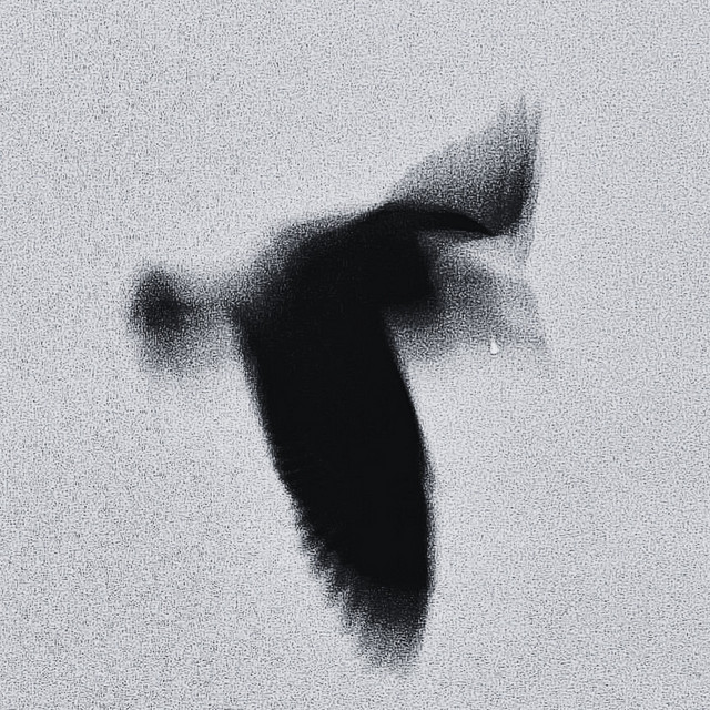 Обкладинка: Searching the Sky — Michael Piano