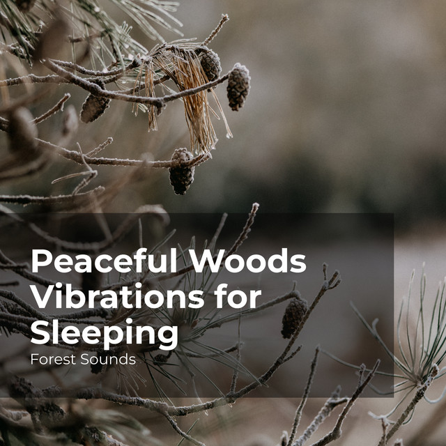 Peaceful Woods Vibrations for Sleeping - Album by Forest Sounds | Spotify