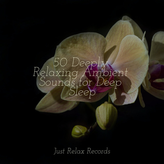 50 Deeply Relaxing Ambient Sounds for Deep Sleep - Album by MÚSICA PARA ...