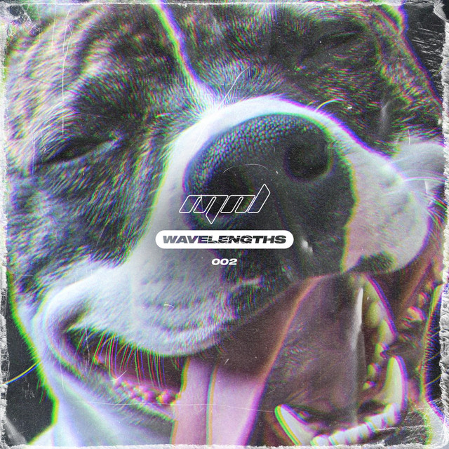 1 Big Dark Room album art