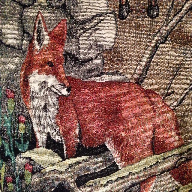 Fox cover art