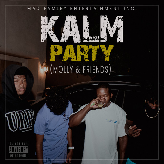Party (Molly & Friends) cover