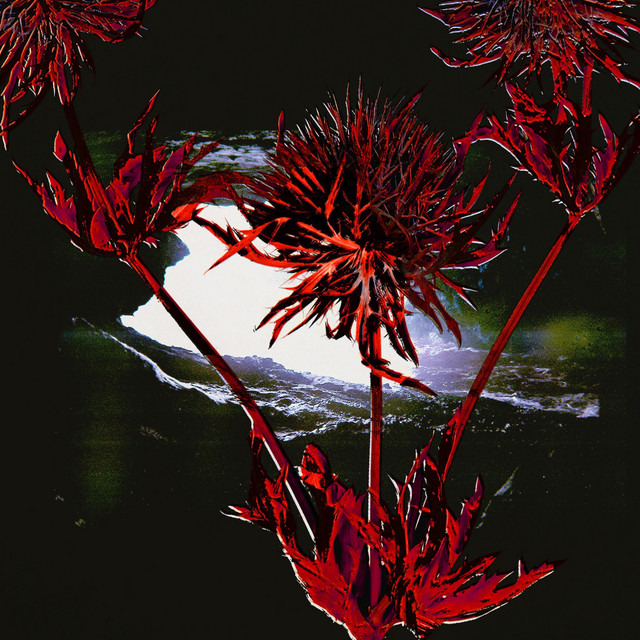 Refugio Transitorio cover art