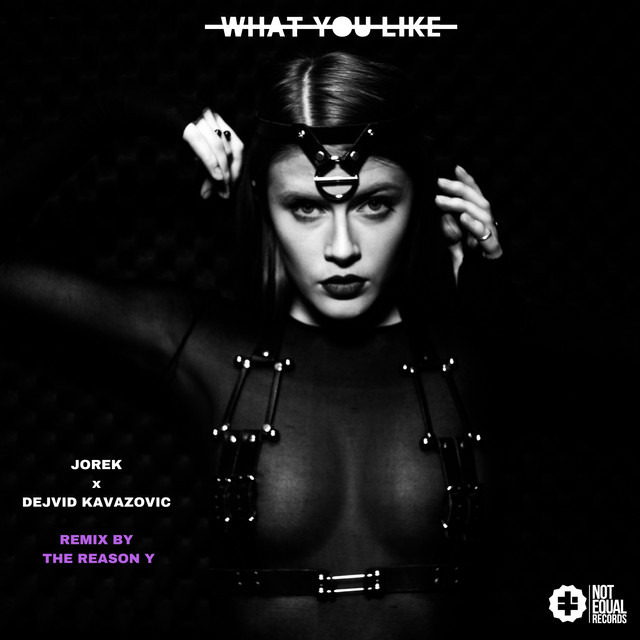 What You Like - The Reason Y Remix cover art