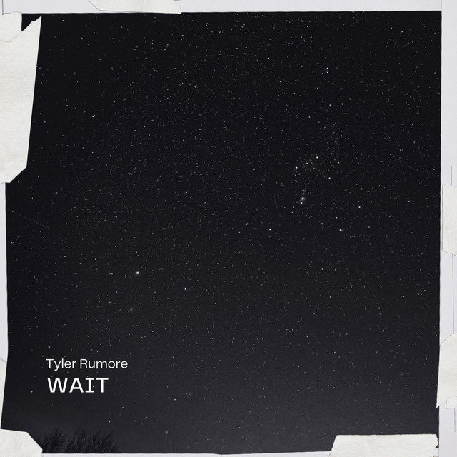 Wait cover art