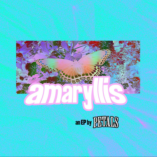 amaryllis cover art