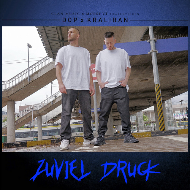 Zuviel Druck cover art