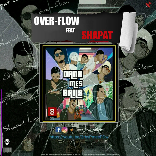 DANS MES BAILS cover art