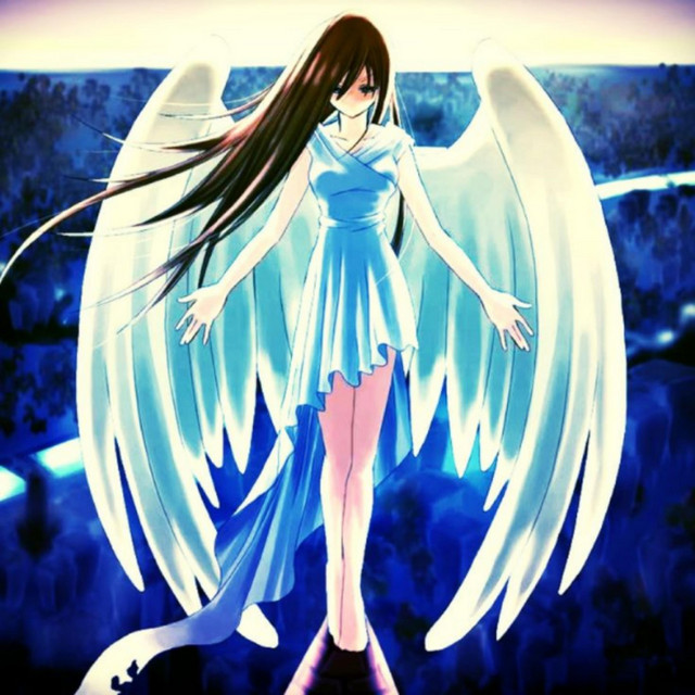 angel Wings in da Club album image