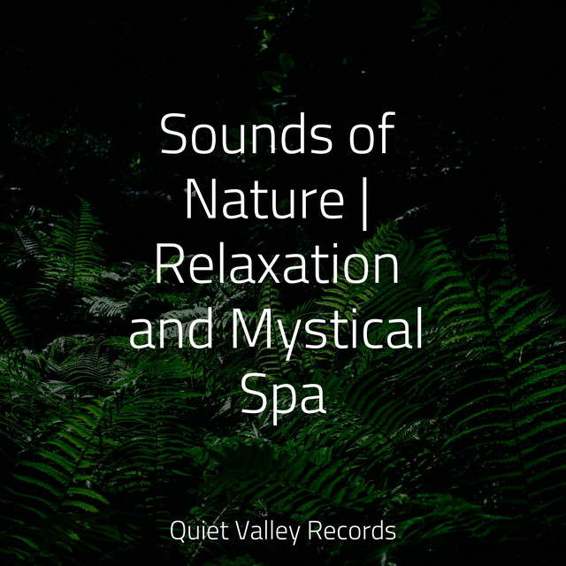 Sounds of Nature | Relaxation and Mystical Spa - Album by Sleeping ...