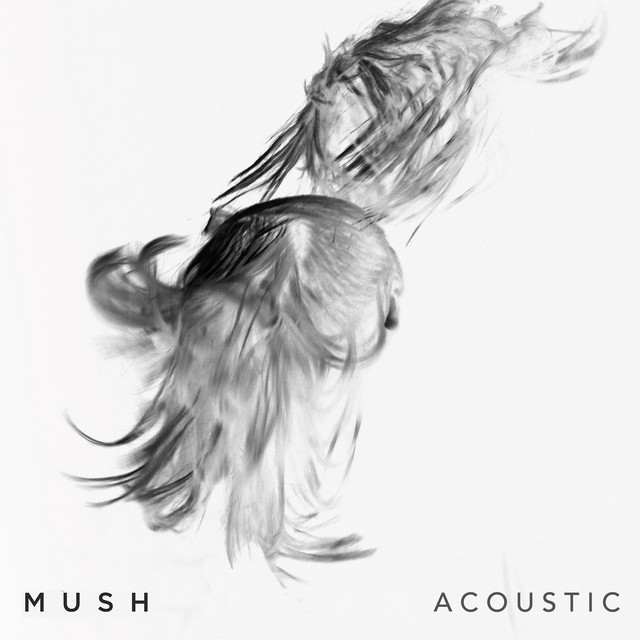 Mush (Acoustic) cover