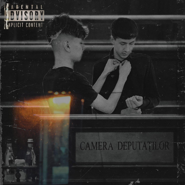 Freestyle din Parlament cover art