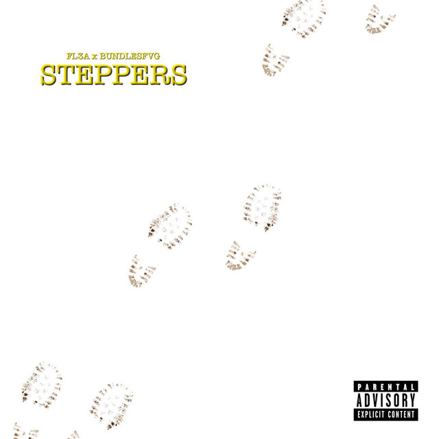 STEPPERS cover art