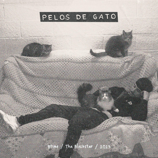 Pelos de gato cover art