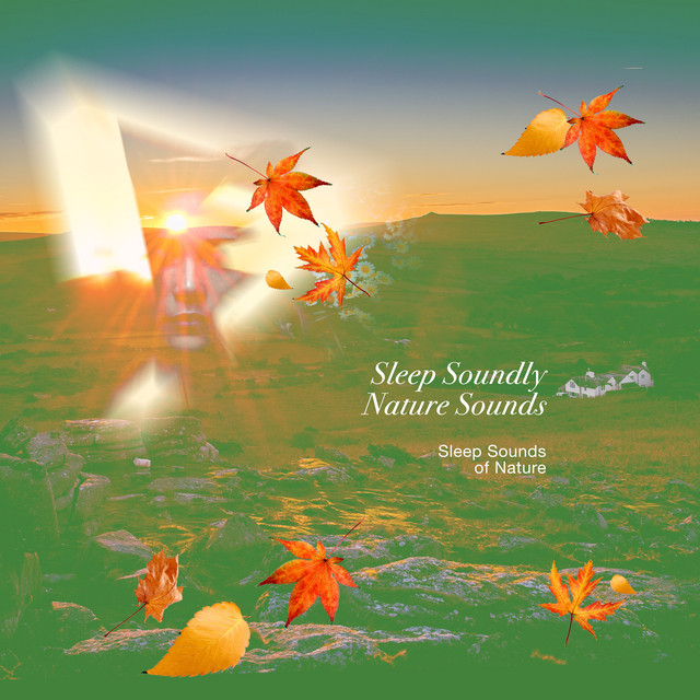 Sleep Soundly Nature Sounds - Album by Sleep Sounds of Nature | Spotify