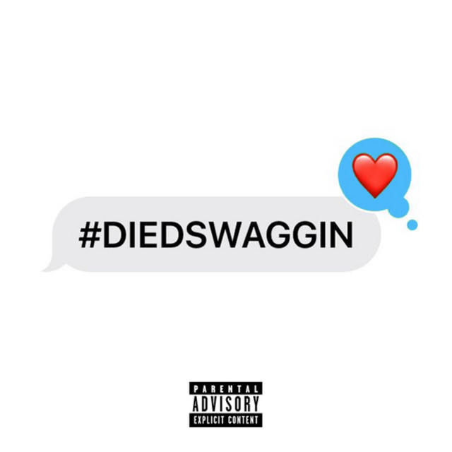 DiedSwaggin cover art