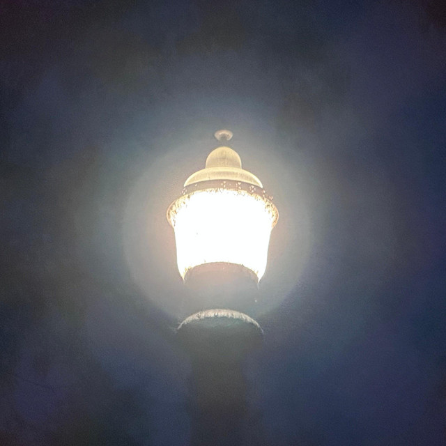 BT0005 cover art