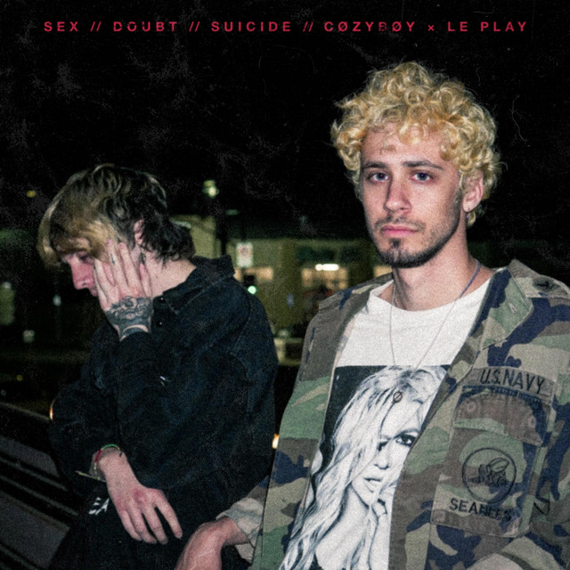 sex // doubt // suicide cover