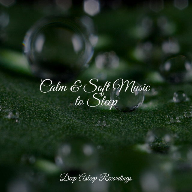 Calm & Soft Music to Sleep - Album by Deep Sleep Music Delta Binaural ...