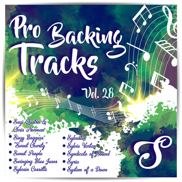 Pro Backing Tracks S, Vol.28 cover art