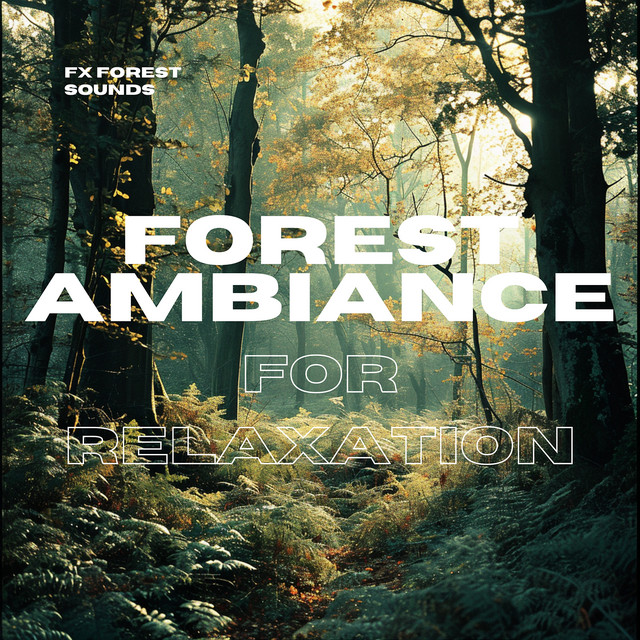 Forest Ambiance for Relaxation - Album by FX Forest Sounds | Spotify