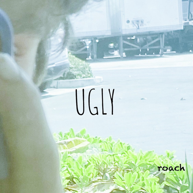 ugly cover art