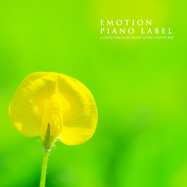 A Sleeping Piano Collection That Softens A Sensitive Mind - Compilation ...