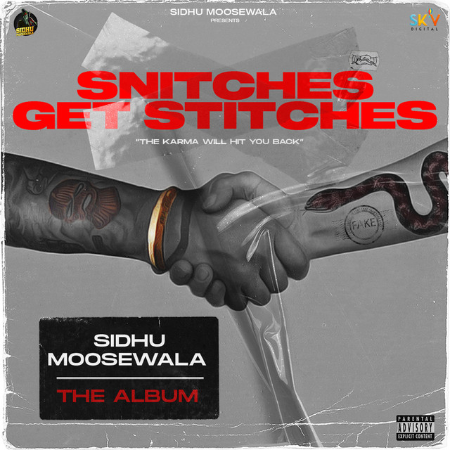 Snitches Get Stitches cover art