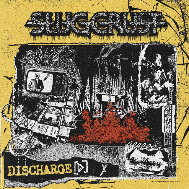 V4 cover art