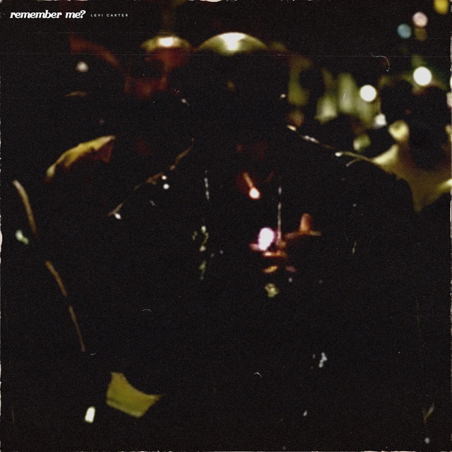 Remember Me cover art